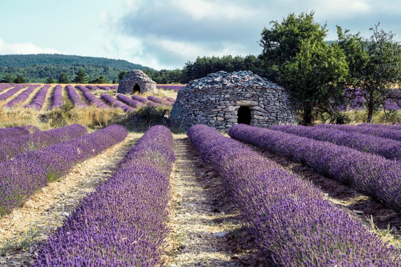 Ferienhaus La Bastide De La Loge Au Pied Du Mont Ventoux *