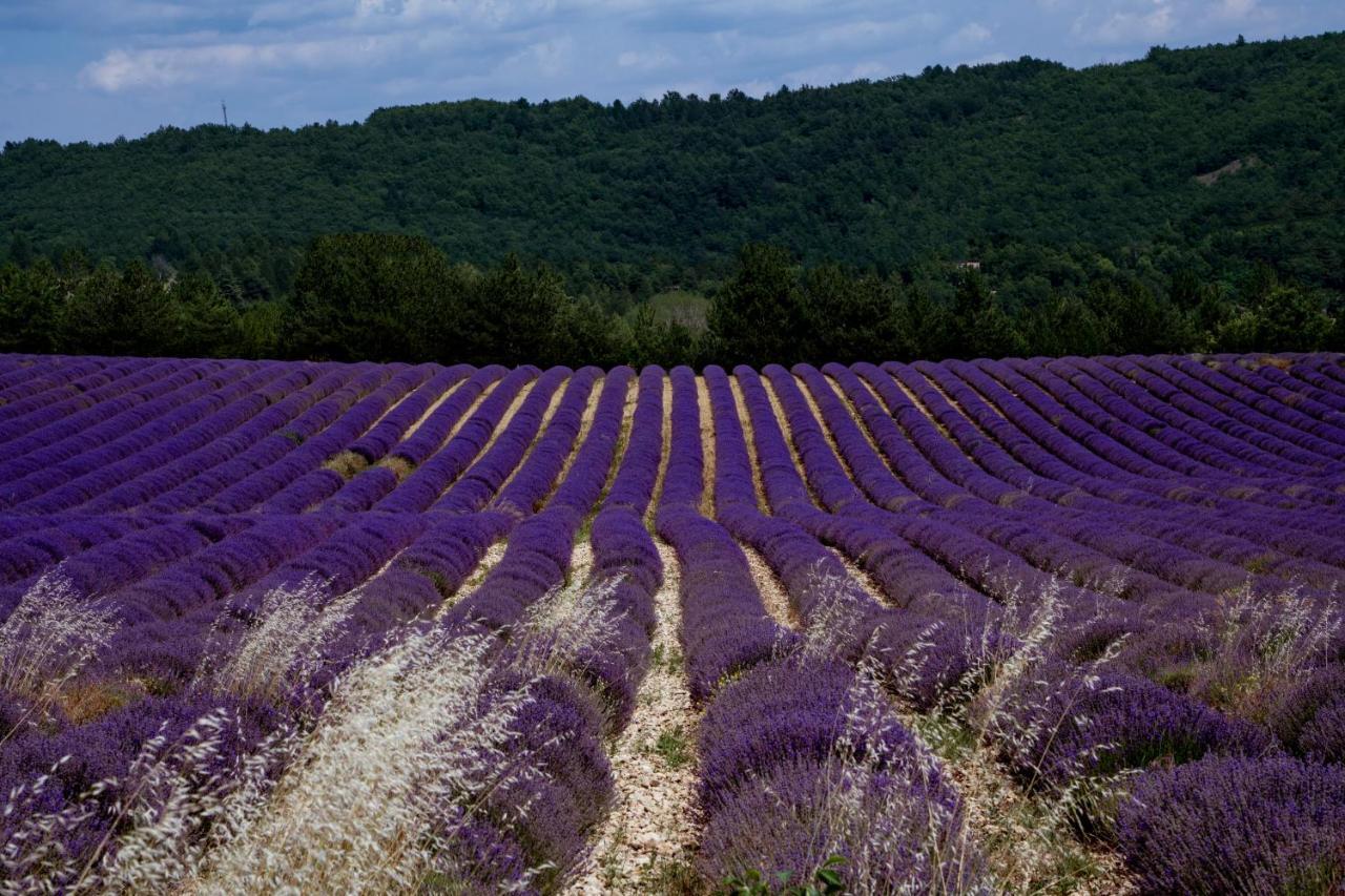 La Bastide De La Loge Au Pied Du Mont Ventoux *